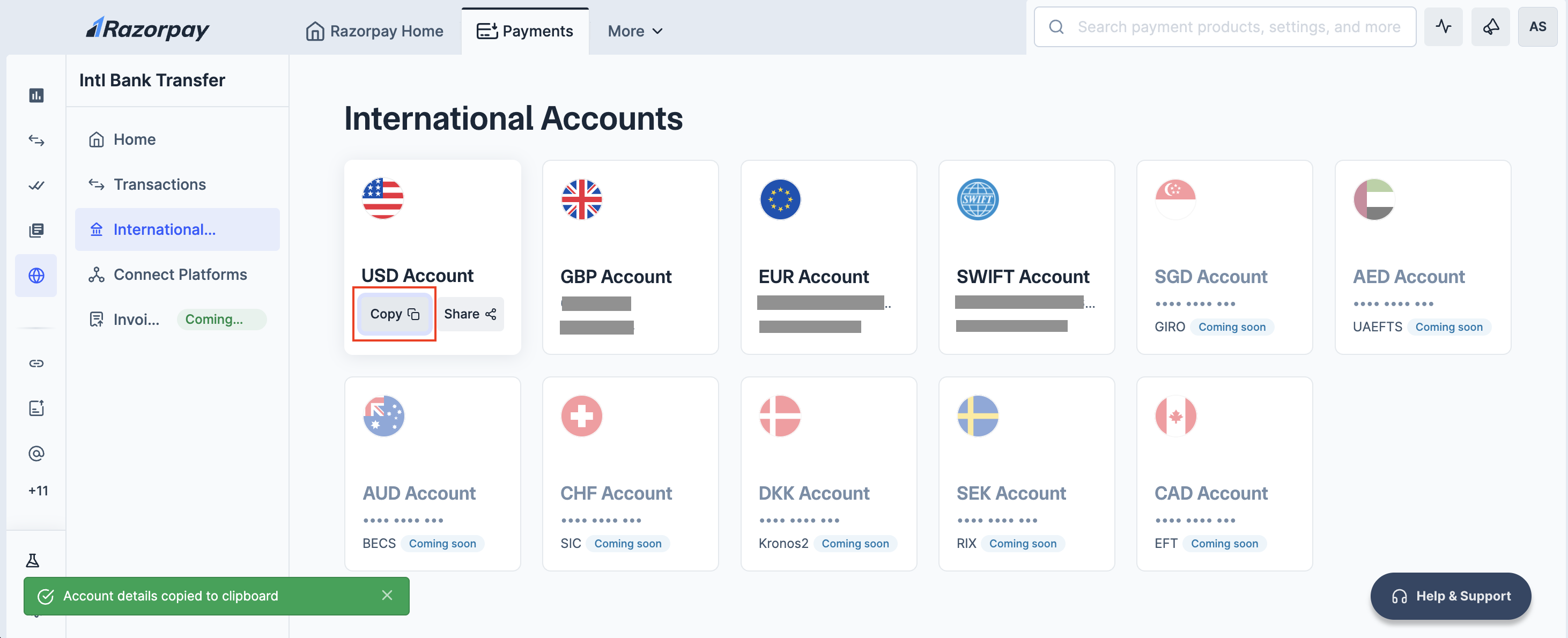 Copy account details manually